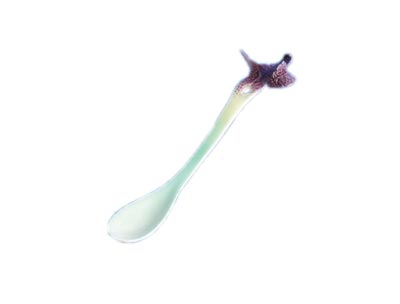 Basil herb design spoon - Retired 2006